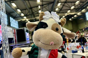 05.+.06.10.2025 Landesmeisterschaft Güstrow